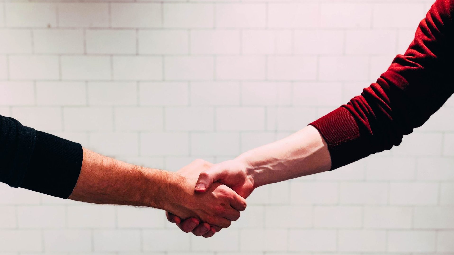 two person shaking hands near white painted wall
